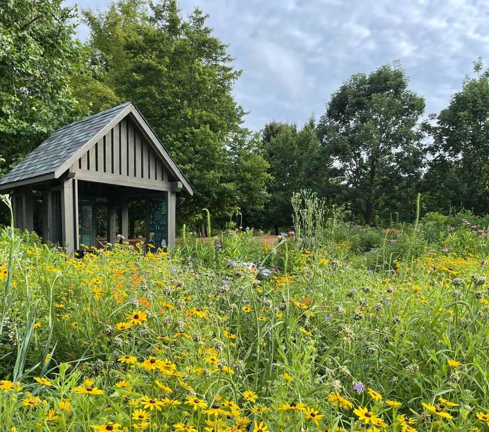 Flutterby Festival Celebrates Pollinators Village Heritage Foundation