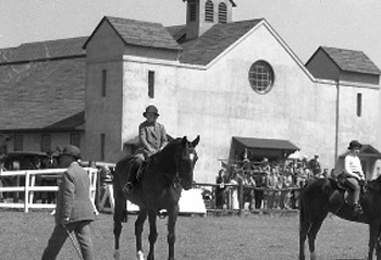 fair barn before renovation