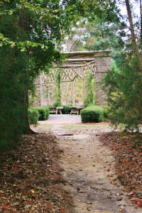 entry from woodland garden 2  